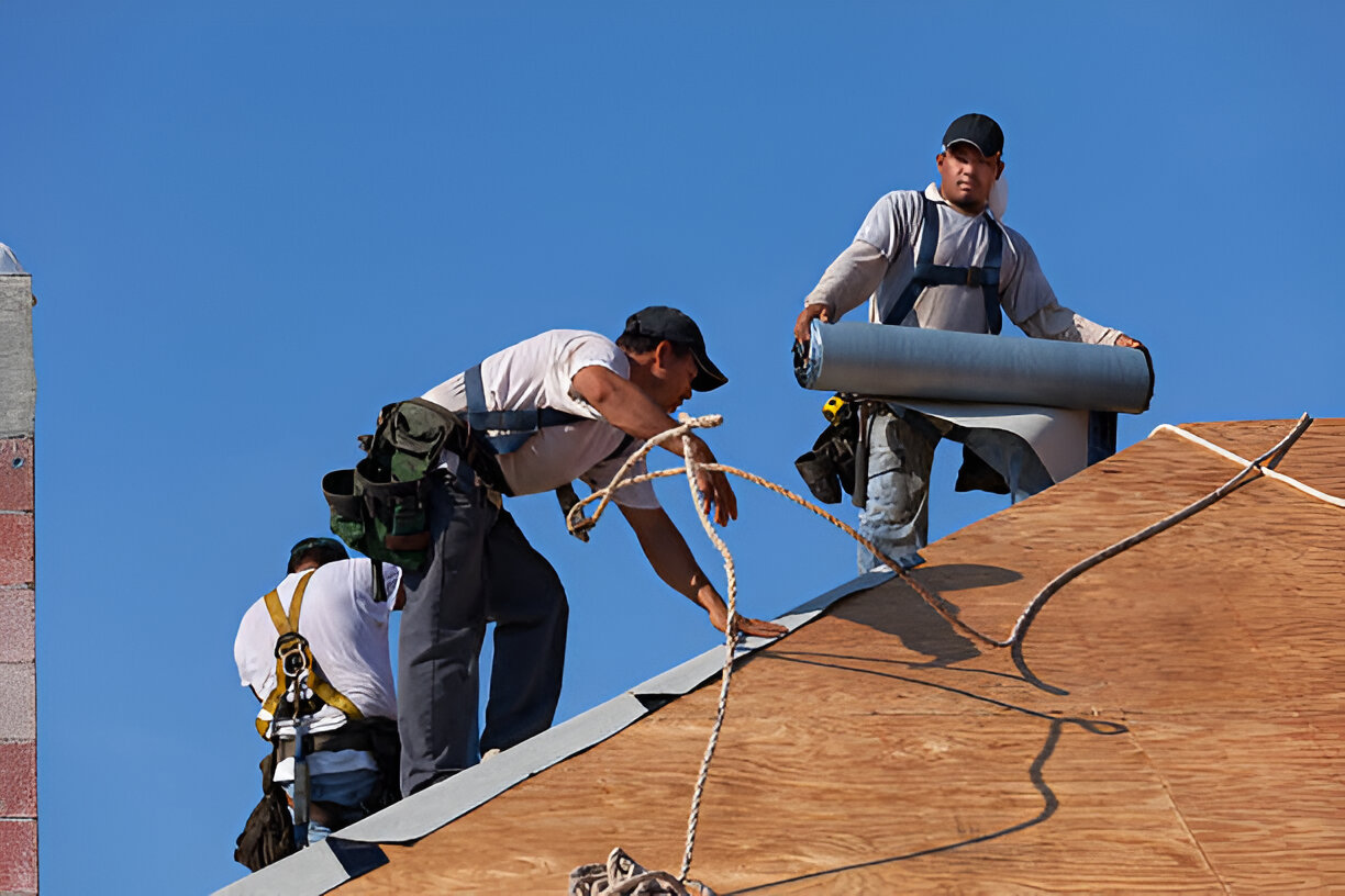 professional roofing services